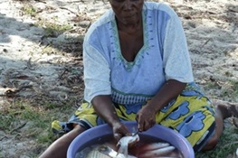 Fisheries Sustainability Linked to Gender Roles Among Traders 